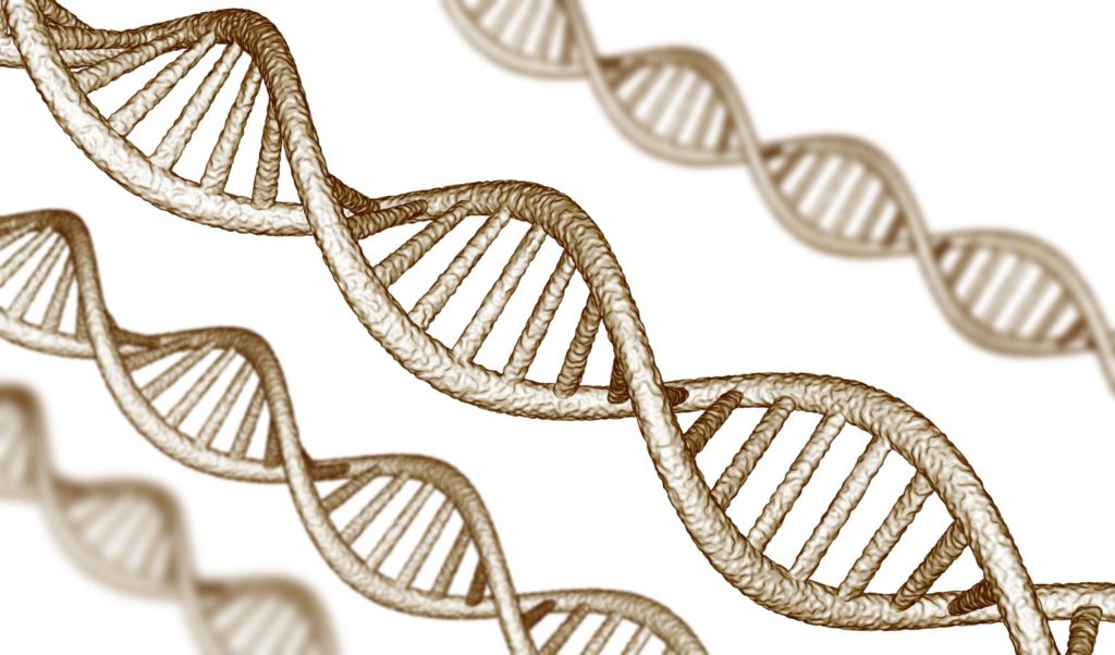 генетика и здоровье человека гены днк
