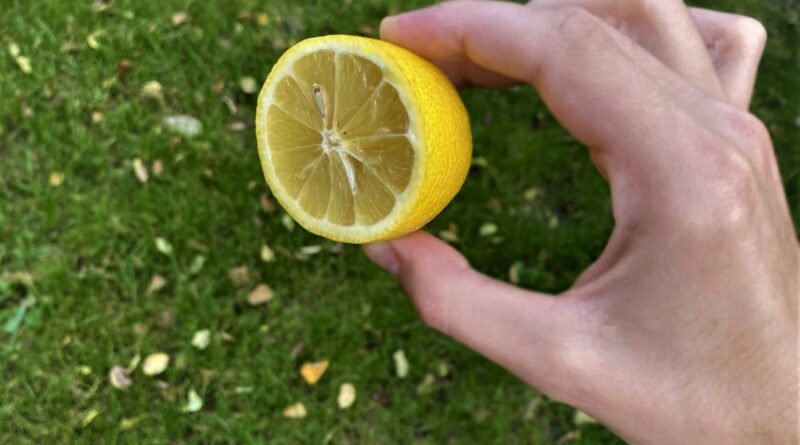 как лимон влияет на сердце